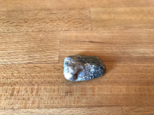 Agate fossille 20g Holytherapia