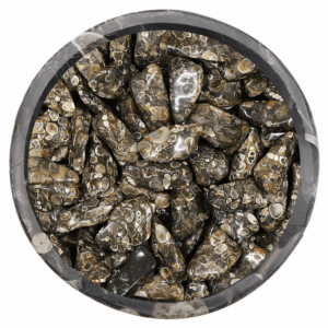 Pierre Roulée Turitelle