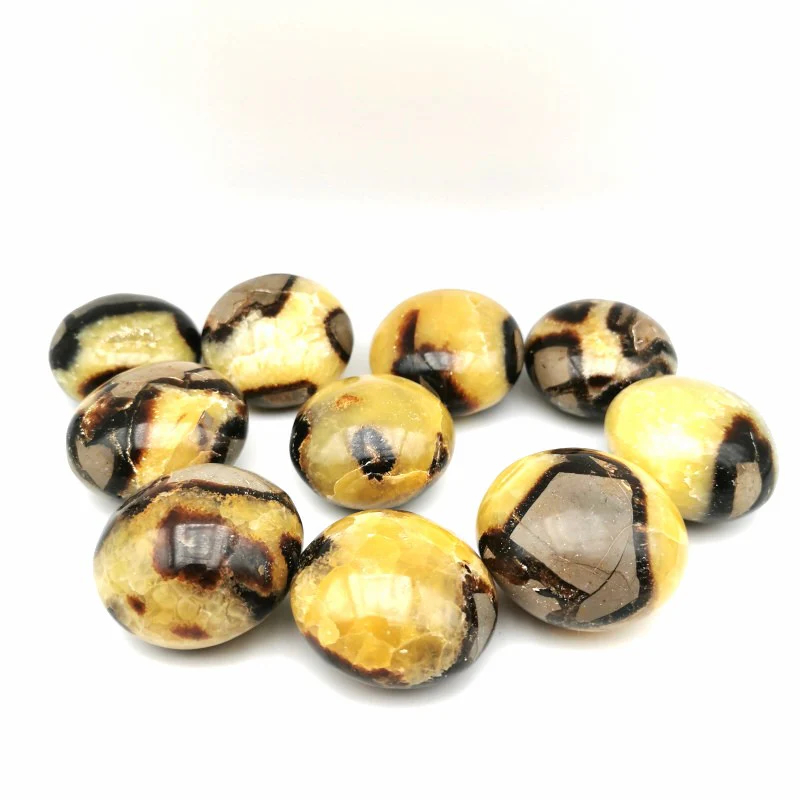 Galet Septaria Pierre du Dragon – Ancrage et Libération - Holytherapia