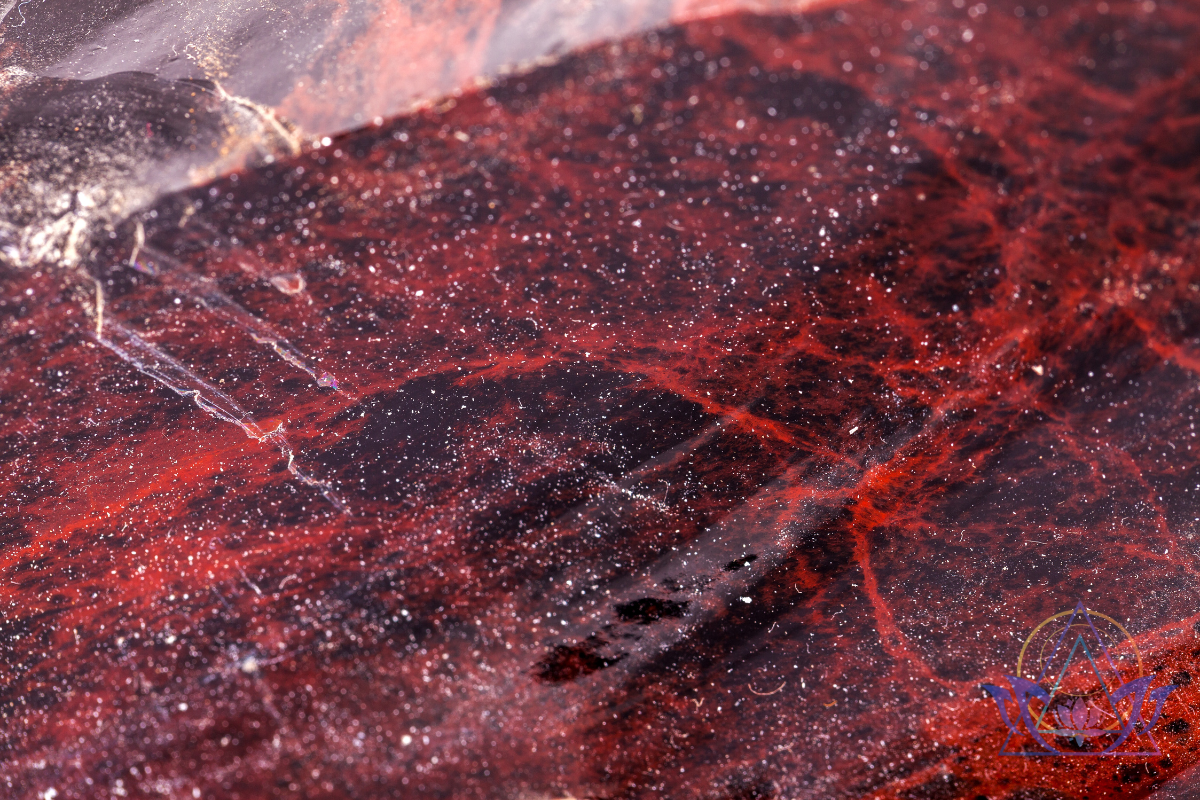 Gros plan sur la texture de l'obsidienne acajou mahogany