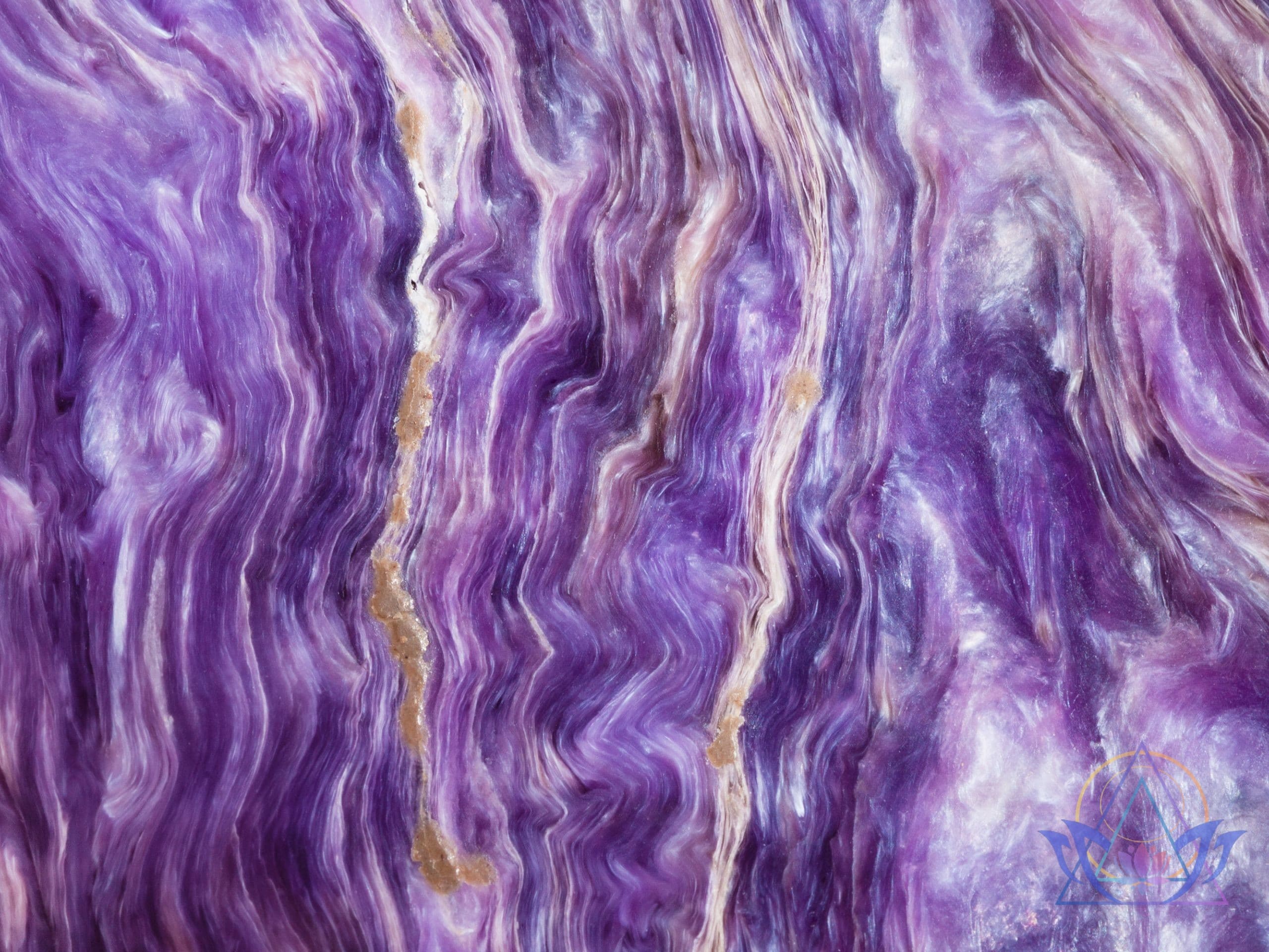 Gros plan sur les vagues violettes et mauves de la charoïte.